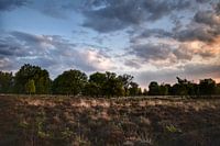 Coucher de soleil avec nuages dans le Bargerveen