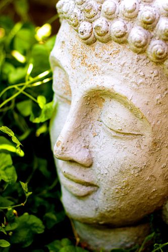 Boeddha