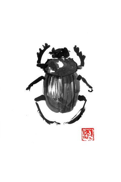 scarabee 02 by Péchane Sumie