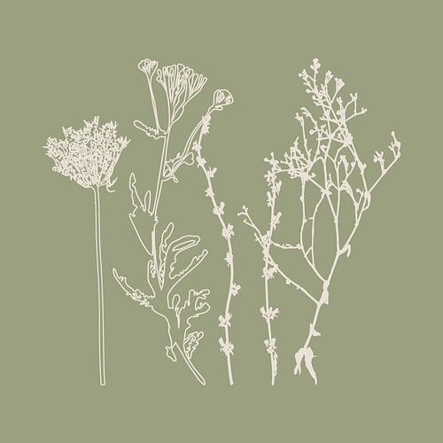 Meadow Botanical art in Sage Green en Beige nr. 4