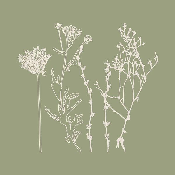 Meadow Botanical art in Sage Green and Beige no. 4 by Dina Dankers