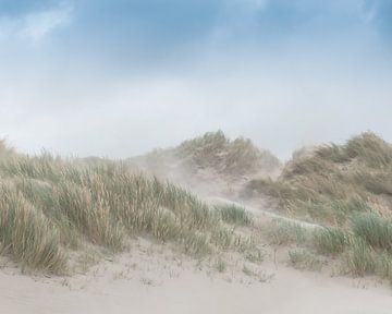 Dune de tempête sur Orangefield-images