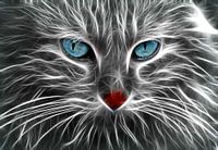 Le chat