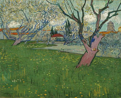 Vincent van Gogh. Gezicht op Arles, 1889