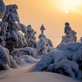 Gouden zonsopgang in de sneeuw van Marcel Lohr