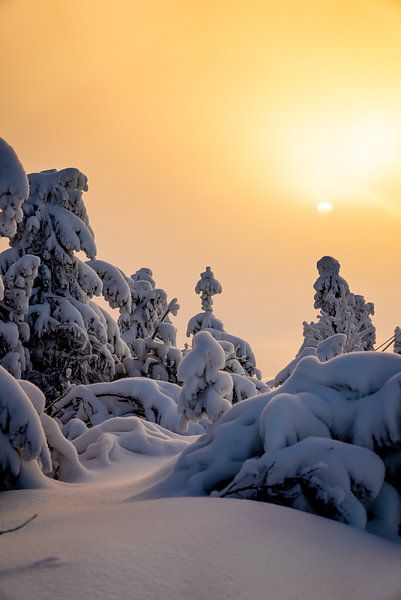 Goldener Sonnenaufgang im Schnee von Marcel Lohr