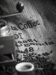 Ouganda "Coffee"