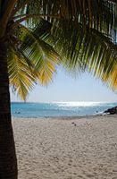 Daaibooibeach Curacao