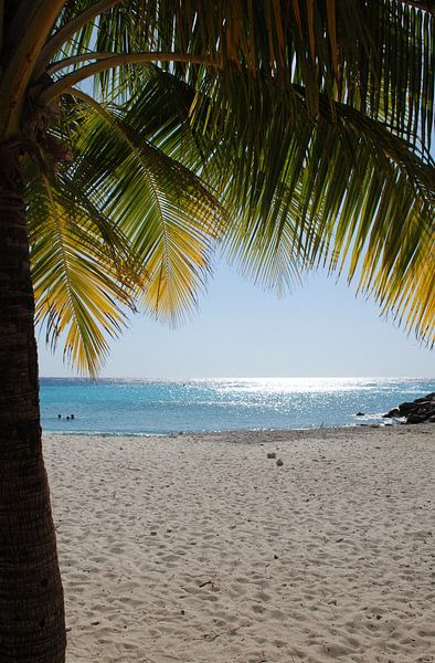 Daaibooibeach Curacao by Carolina Vergoossen