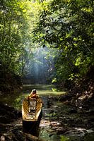 Boat in forest