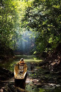 Boat in forest by Jan Tuns