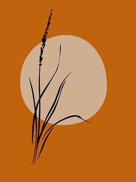 Roseau au lever du soleil sur Anjo Kan