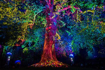 Arbre de la liberté - Vrijheidsboom van Henk Derks