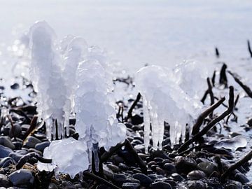 Eis am Stiel – Darß Weststrand im Winter 2018 von Jörg Hausmann