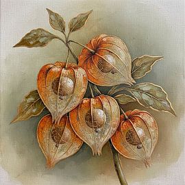 Autumn Botanical painting of a Lantern plant (Physalis) by Studio Pieternel