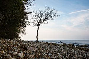 Die Ostseeküste auf der Insel Rügen im Herbst