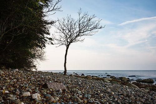 Die Ostseeküste auf der Insel Rügen im Herbst