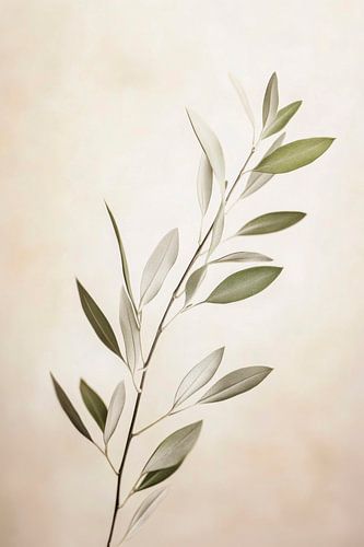 Elegante plantentakken in zachte kleuren