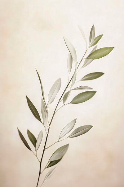 Elegante Pflanzenzweige in sanften Farben von Poster Art Shop