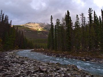 Wilde rivier in de Rockies van Timon Schneider