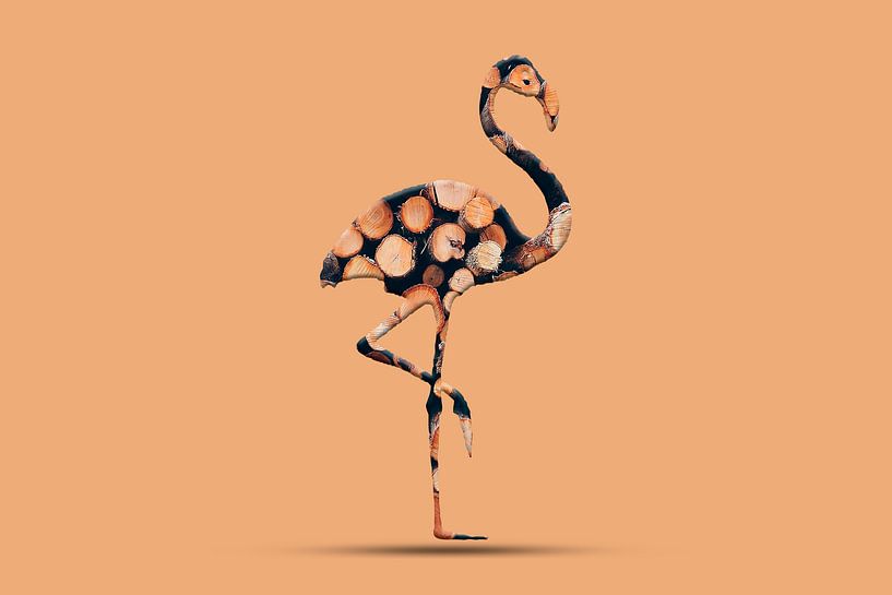 Flamandbois van Catherine Fortin