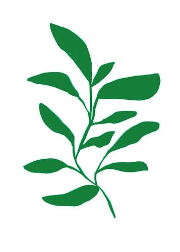 Illustration : organique et botanique