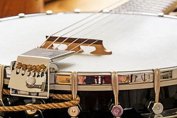 metalen banjo met 6 snaren, muziekinstrument, detail met geselecteerde focus en smalle scherptediept van Maren Winter