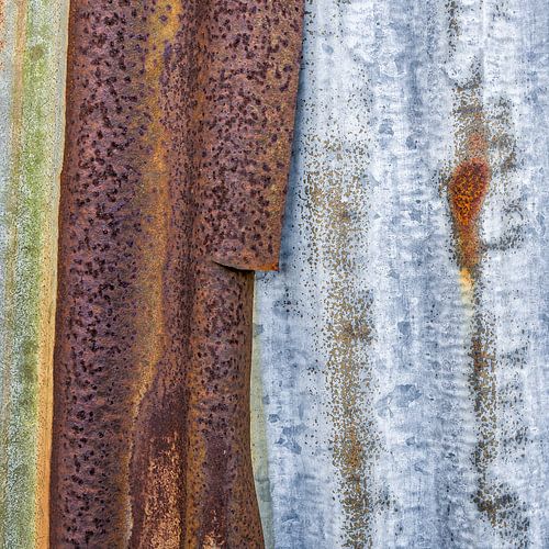 Primal soil - Study in two parts