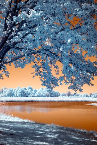 Oud Heusden by Fotografie Marco Houben