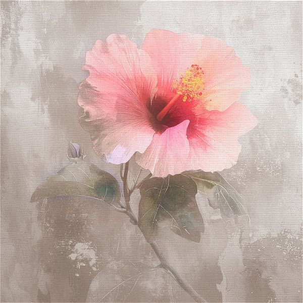 Zeitloses und elegantes Gemälde einer rosa Hibiskusblüte von Studio Pieternel