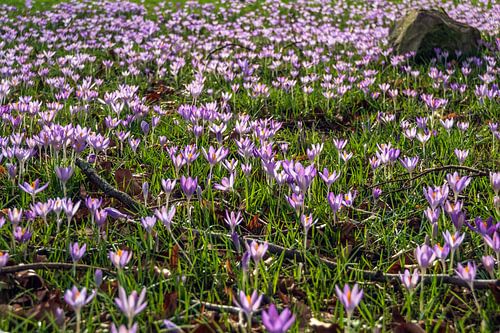 Spring is approaching