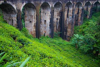 9-Bogen-Brücke Sri Lanka