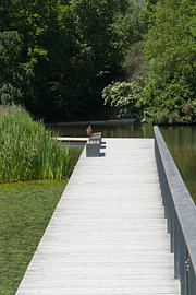 Anlagensee in Tübingen