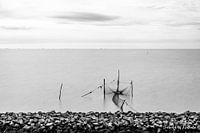 Rest on the Wadden Sea