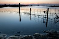 Une image brute d'une clôture dans la plaine d'inondation de la rivière Lek sur Arthur Puls Photography Aperçu
