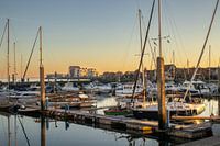 Yerseke, marina and village, with setting sun