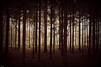 Forrest.