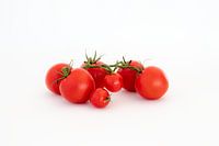 Fruit