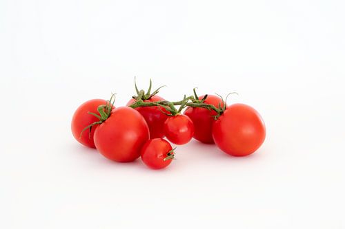 Fruit