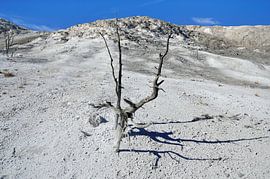 Nothing to live for! by Frank's Awesome Travels