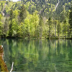 Christlessee in de Allgäu - Een spiegel van stilte van Walter G. Allgöwer