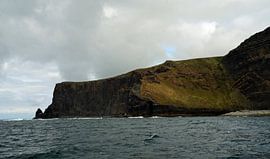 Cliff's of Moher - Irland