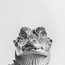Krokodil van Poster Art Shop thumbnail