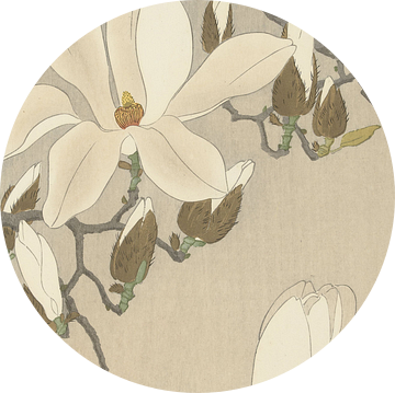 Myna op een Magnolia tak van Ohara Koson