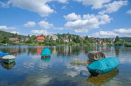 am Schluchsee von Peter Eckert