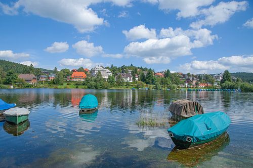 op de steengroevevijver