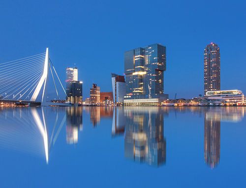 Rotterdam reflections