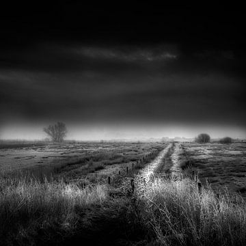 Throught the fields van Ruud Peters