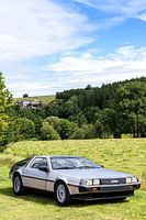 Filmicoon Delorean in natuur, retro car