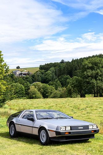 Filmikone Delorean in der Natur, Retro-Auto